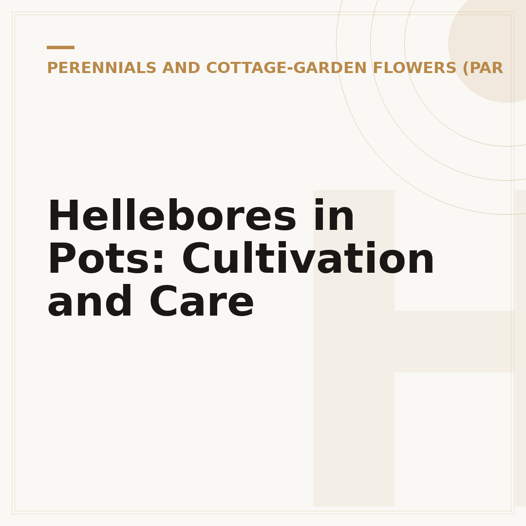 Hellebores in Pots: Cultivation and Care
