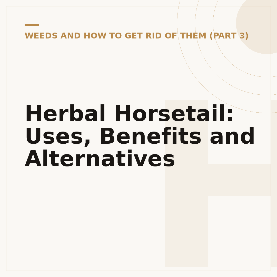 Herbal Horsetail: Uses, Benefits and Alternatives