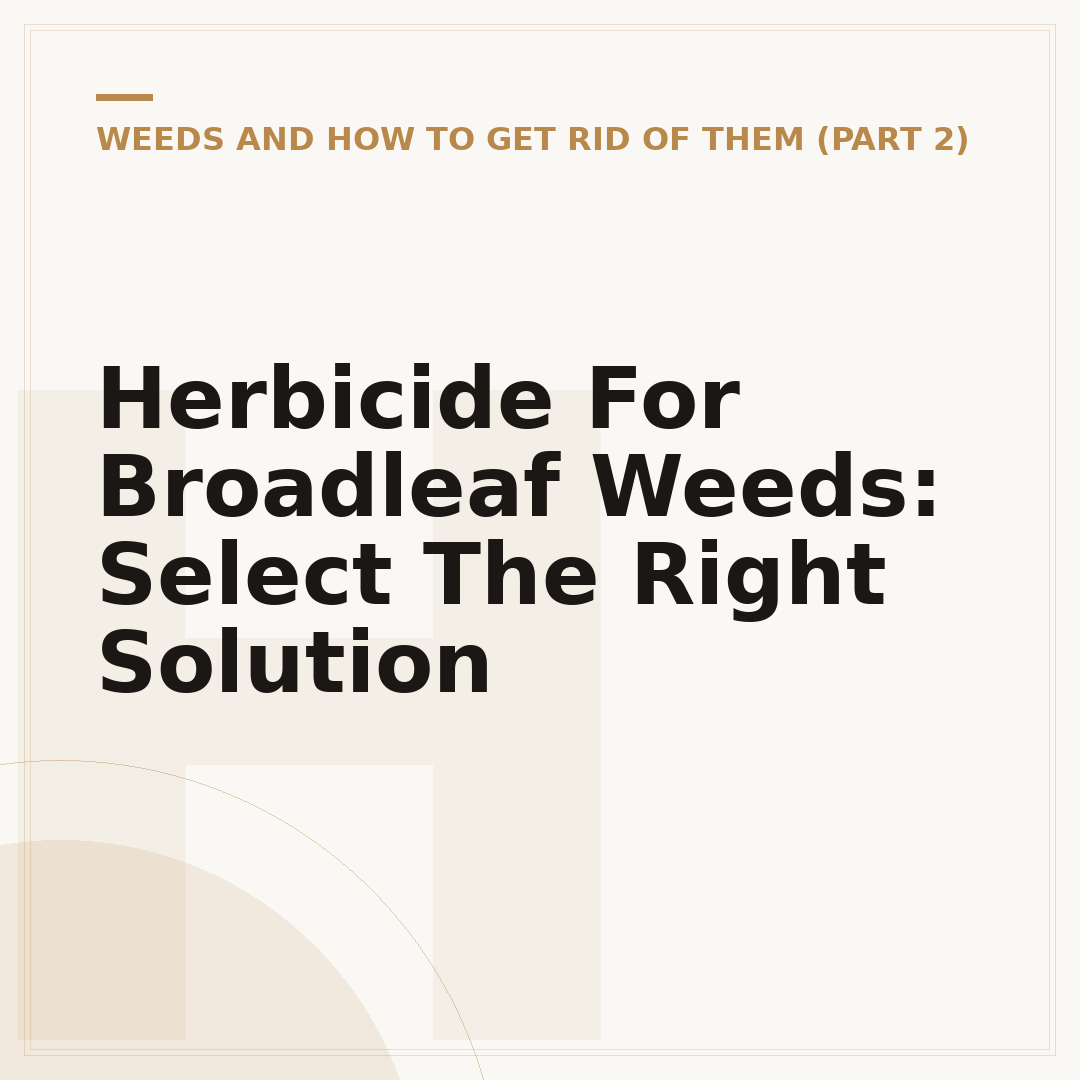 Herbicide For Broadleaf Weeds: Select The Right Solution