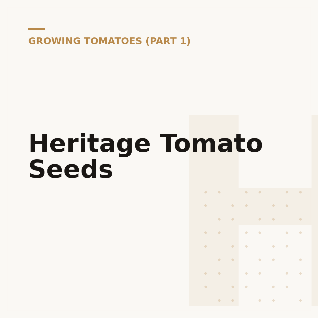 Heritage Tomato Seeds