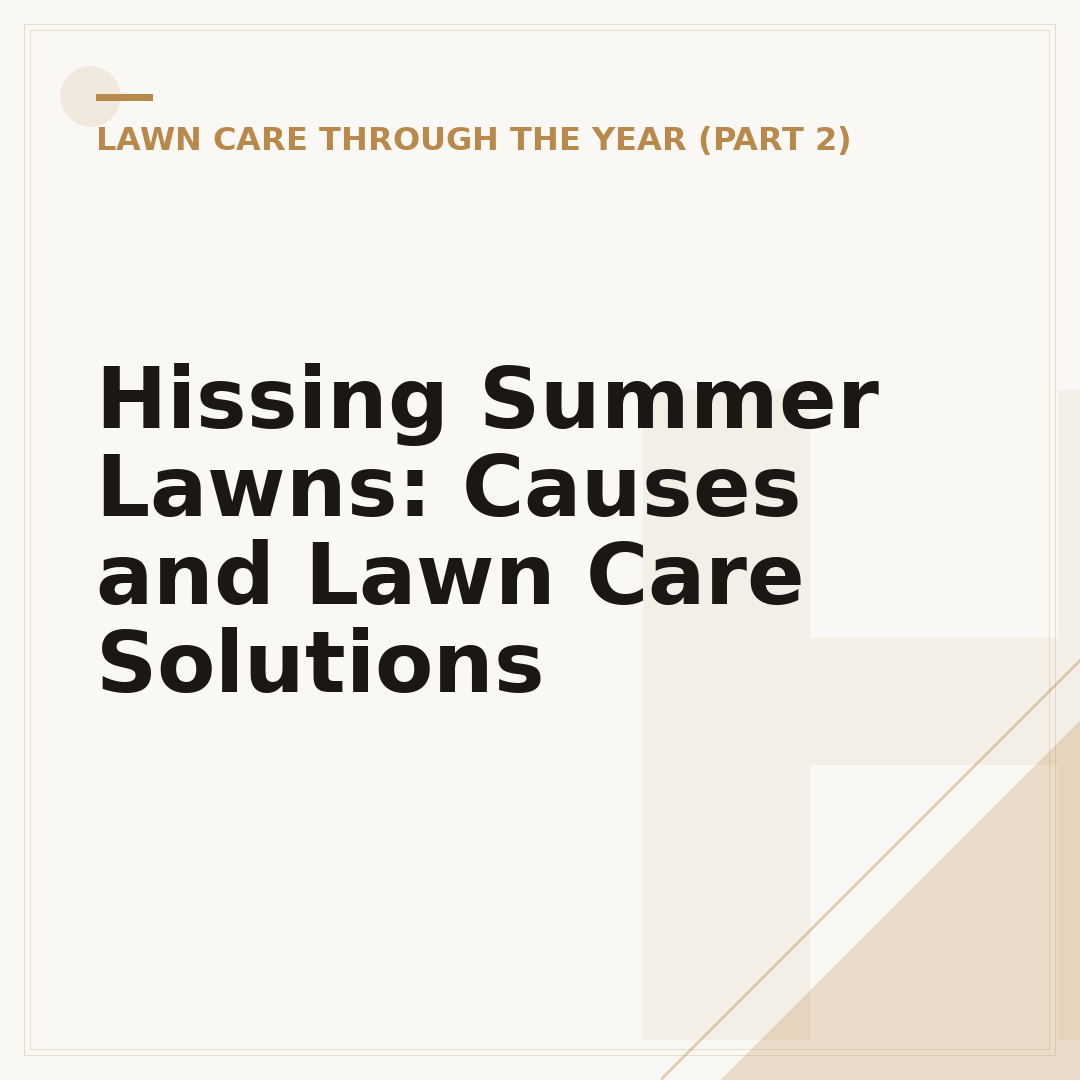 Hissing Summer Lawns: Causes and Lawn Care Solutions