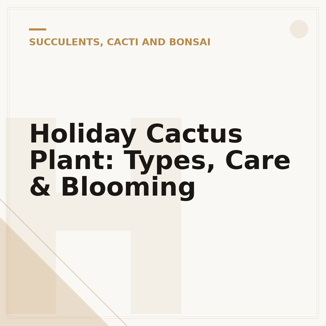 Holiday Cactus Plant: Types, Care & Blooming