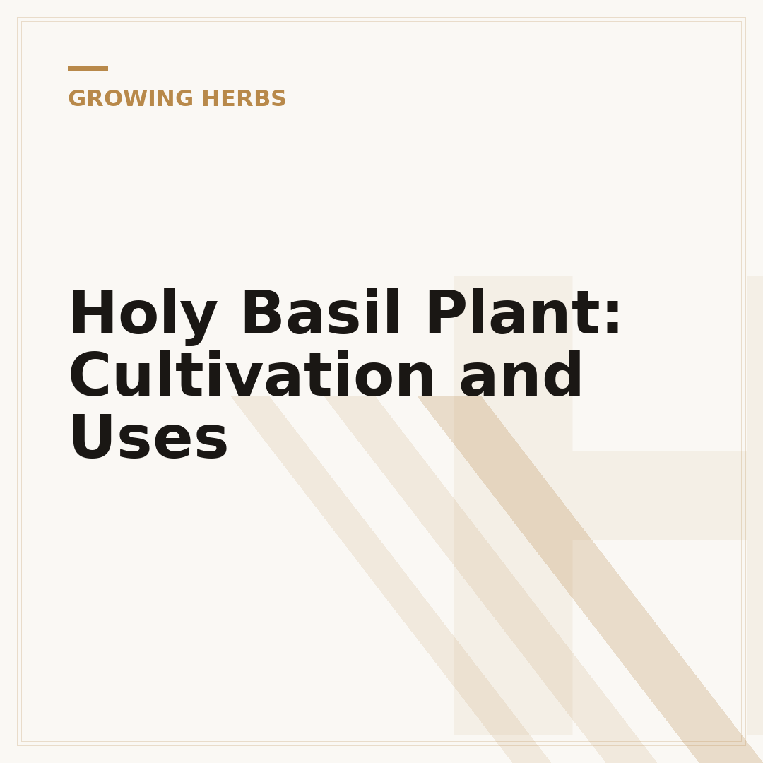 Holy Basil Plant: Cultivation and Uses
