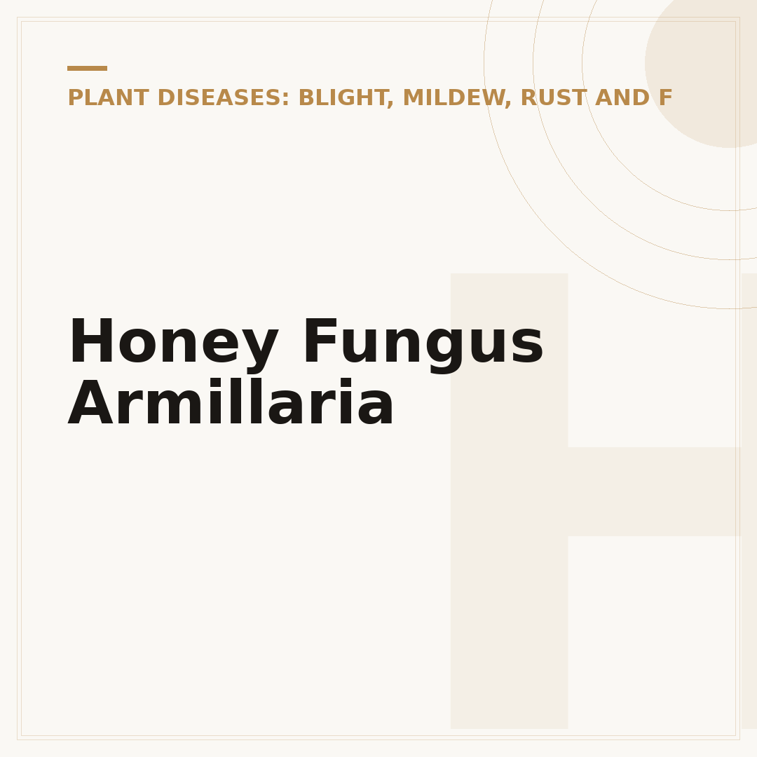 Honey Fungus Armillaria