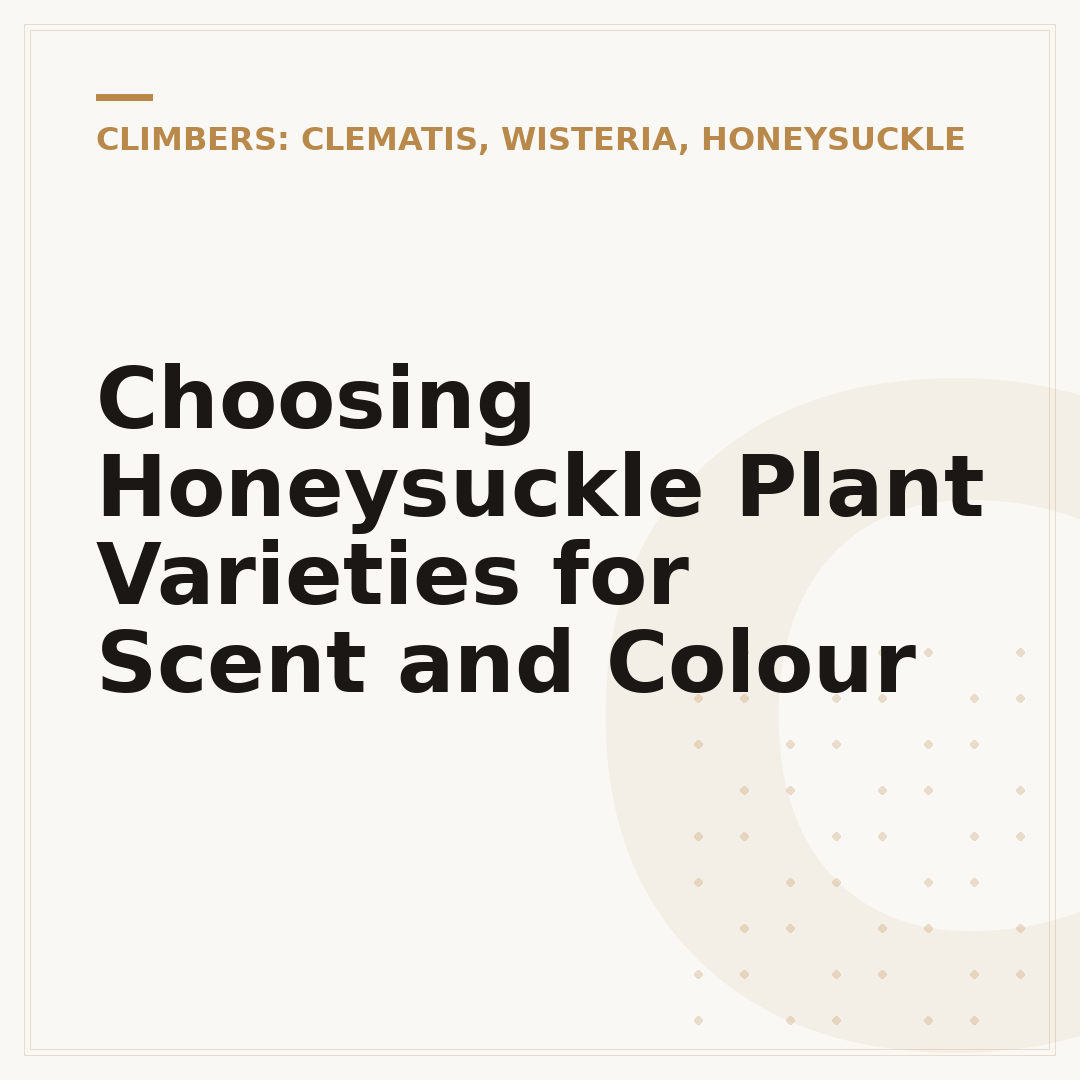 Choosing Honeysuckle Plant Varieties for Scent and Colour