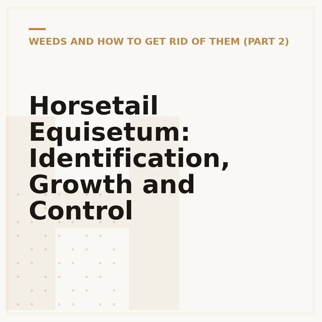 Horsetail Equisetum: Identification, Growth and Control