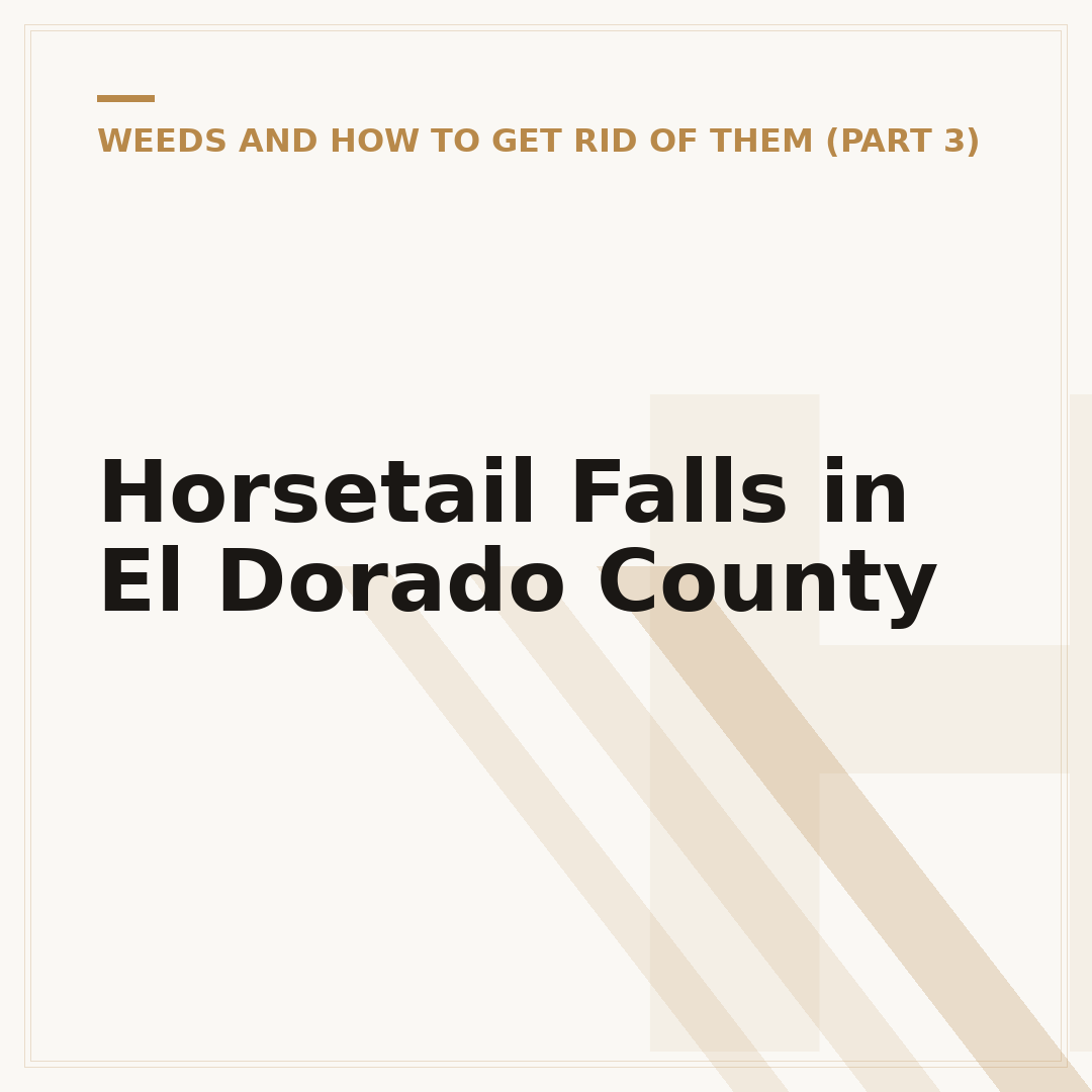 Horsetail Falls in El Dorado County
