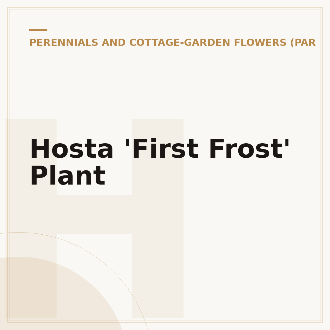 Hosta 'First Frost' Plant
