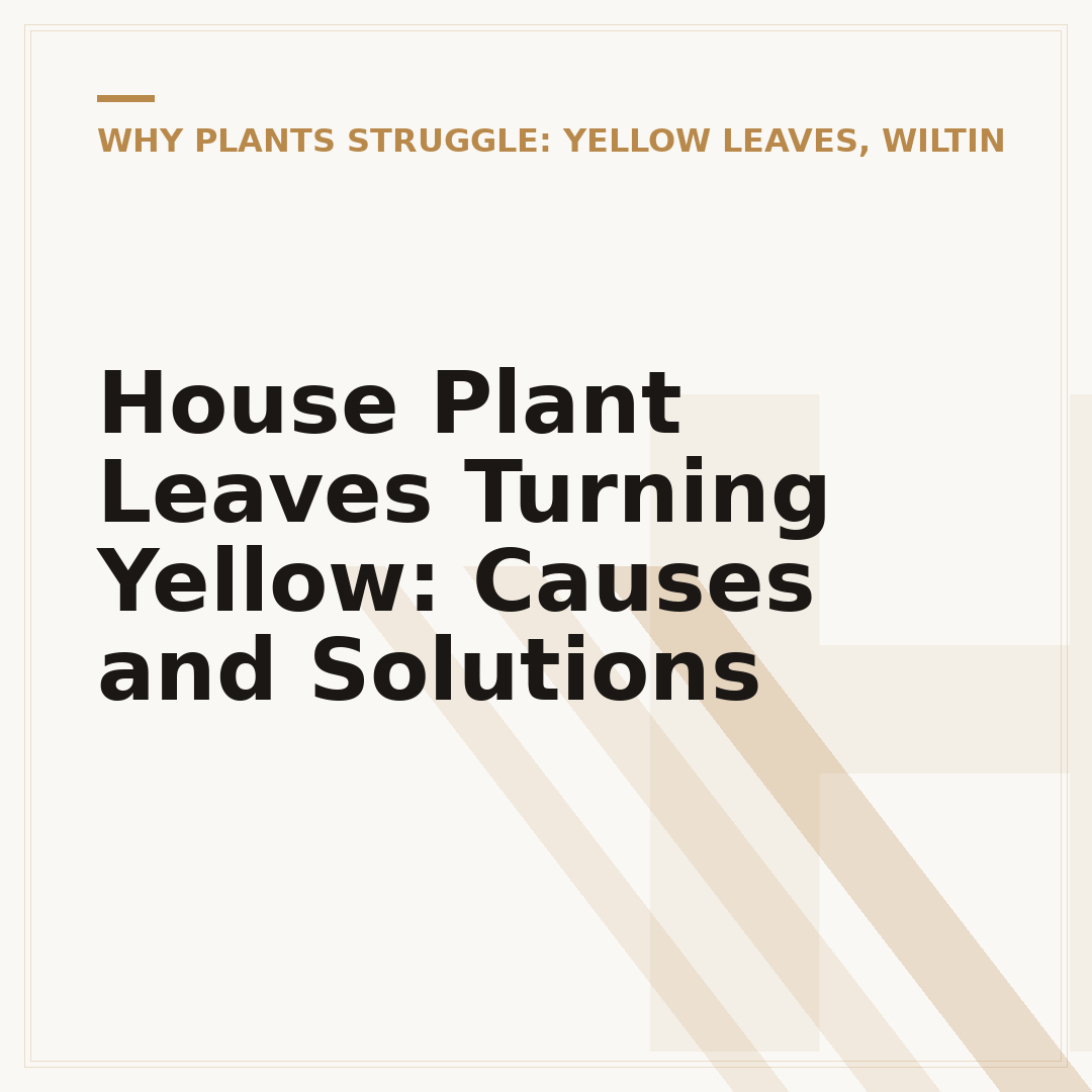 House Plant Leaves Turning Yellow: Causes and Solutions