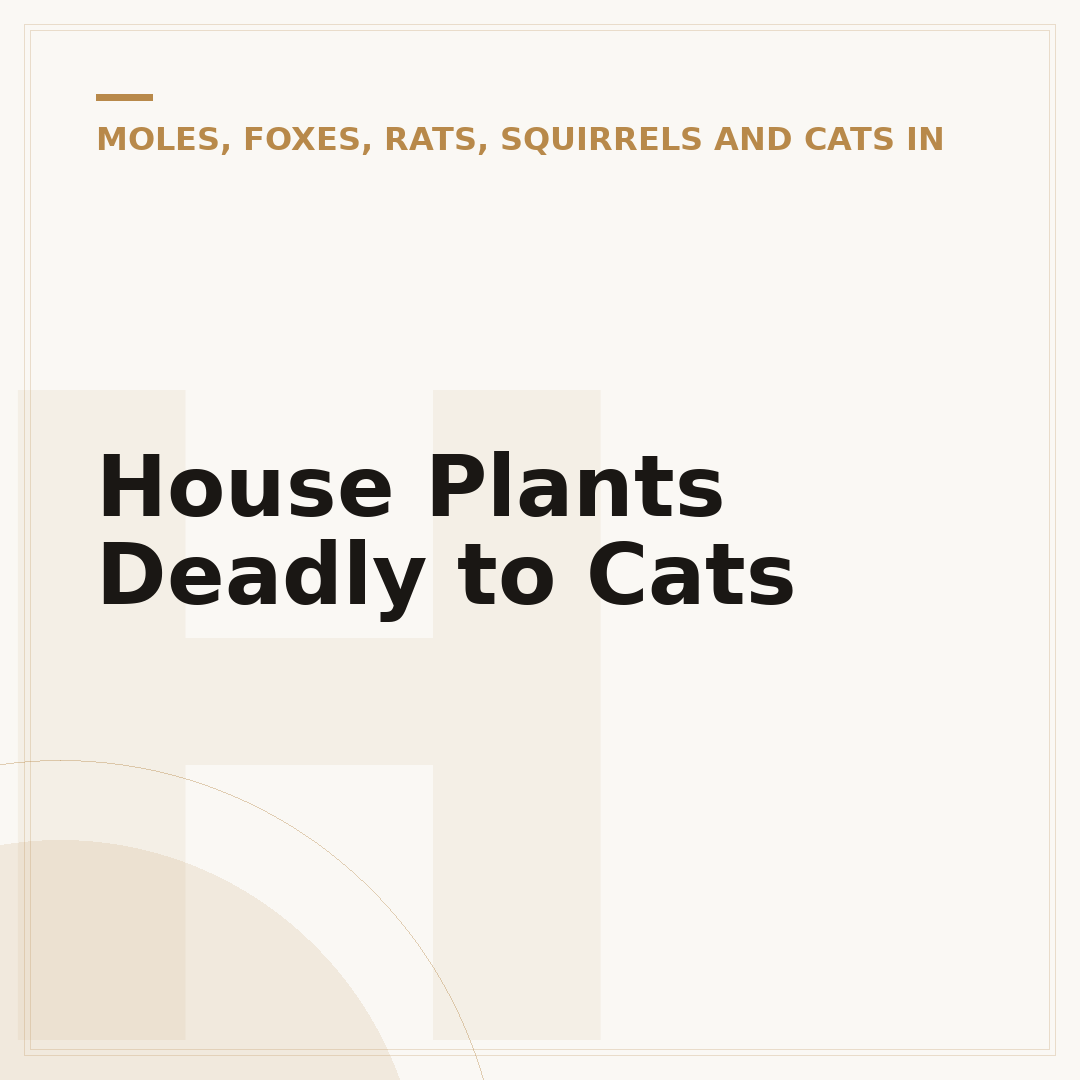 House Plants Deadly to Cats