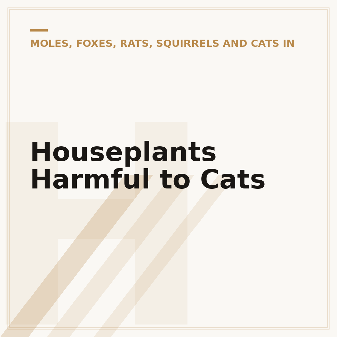 Houseplants Harmful to Cats