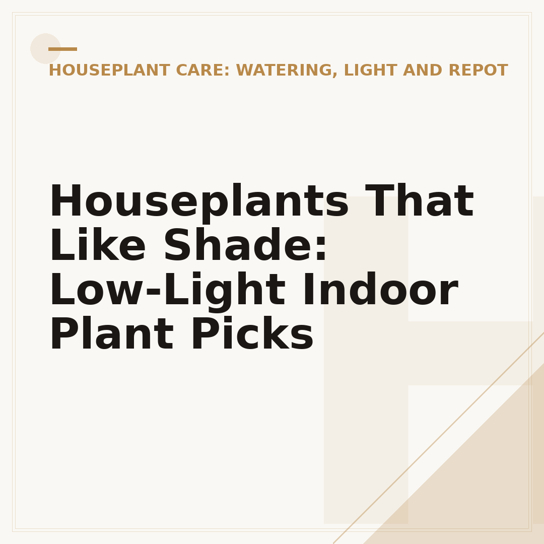 Houseplants That Like Shade: Low-Light Indoor Plant Picks