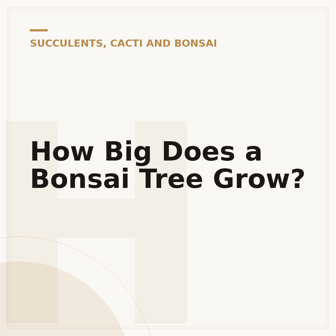 How Big Does a Bonsai Tree Grow?