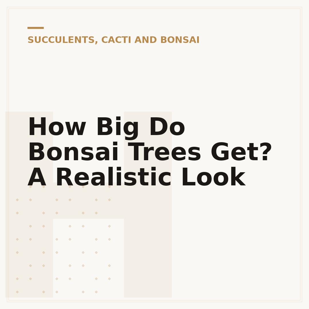 How Big Do Bonsai Trees Get? A Realistic Look