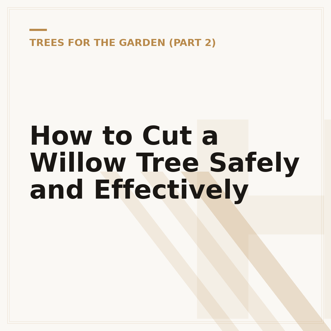 How to Cut a Willow Tree Safely and Effectively