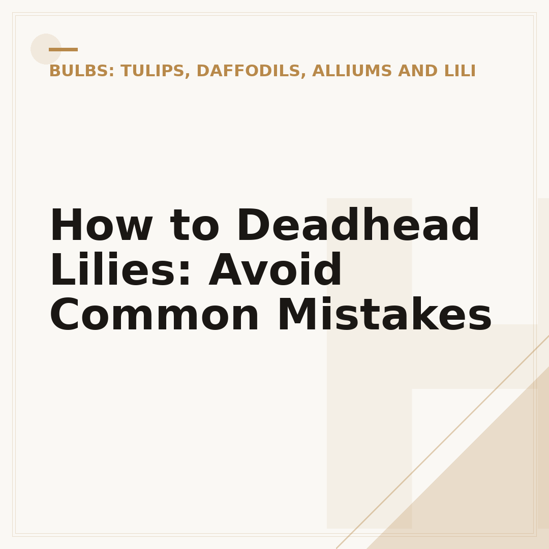 How to Deadhead Lilies: Avoid Common Mistakes