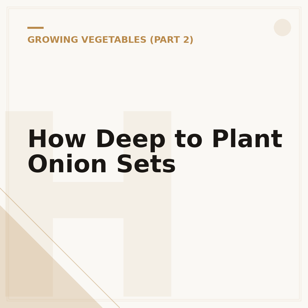 How Deep to Plant Onion Sets