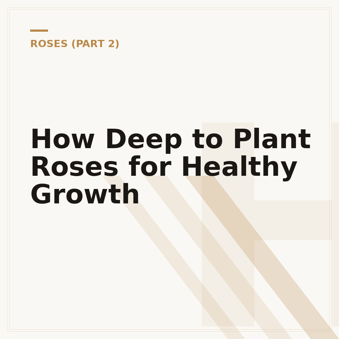 How Deep to Plant Roses for Healthy Growth
