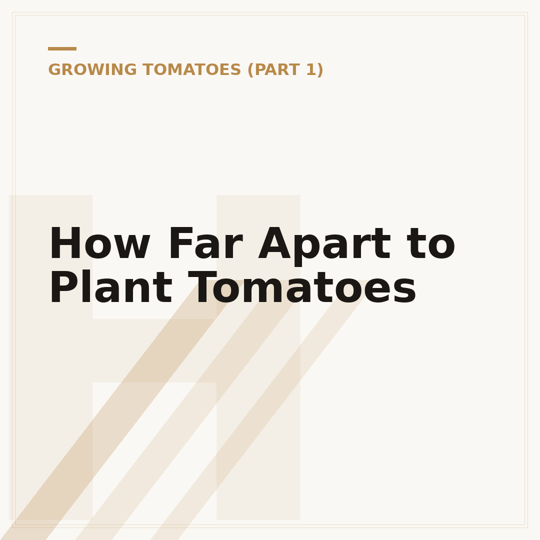 How Far Apart to Plant Tomatoes