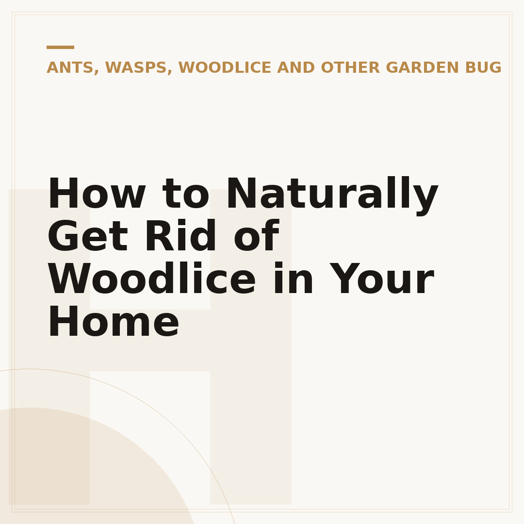 How to Naturally Get Rid of Woodlice in Your Home