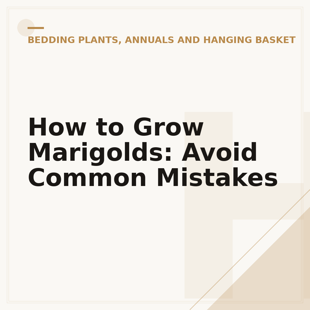 How to Grow Marigolds: Avoid Common Mistakes