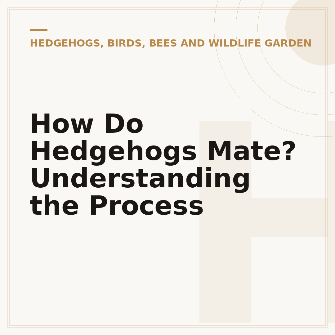 How Do Hedgehogs Mate? Understanding the Process