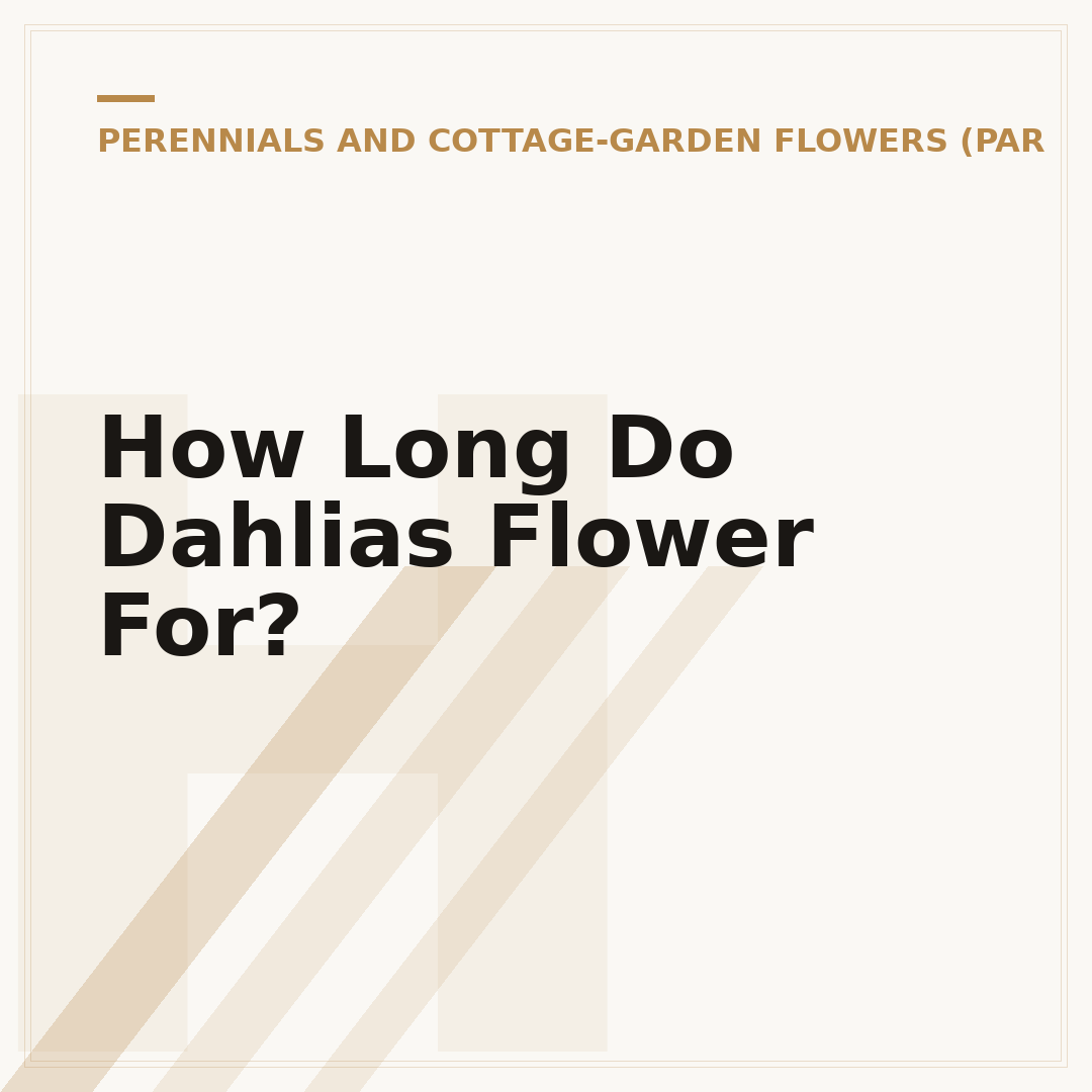How Long Do Dahlias Flower For?