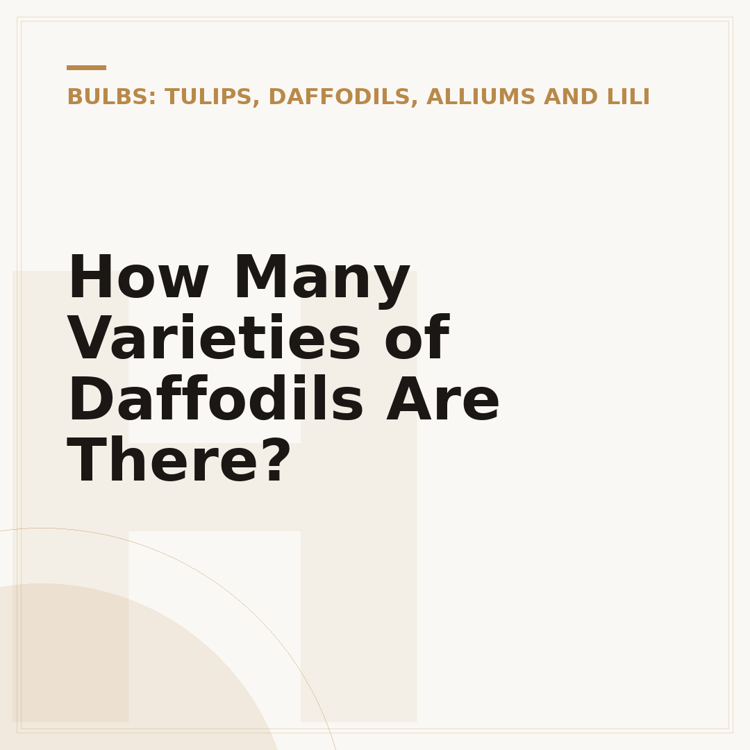 How Many Varieties of Daffodils Are There?