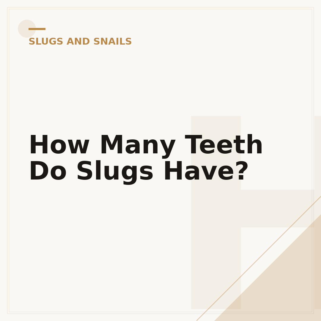 How Many Teeth Do Slugs Have?
