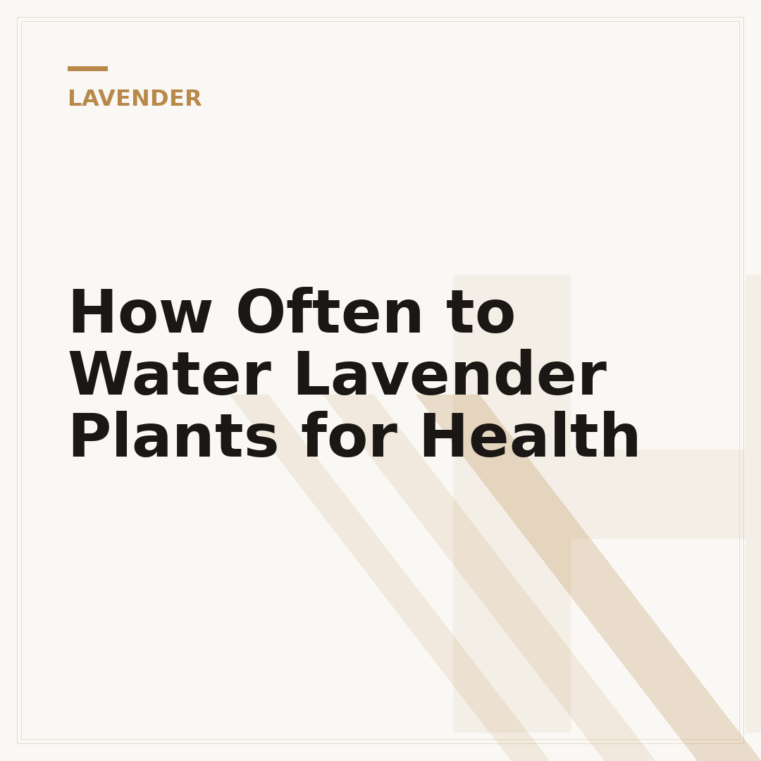 How Often to Water Lavender Plants for Health