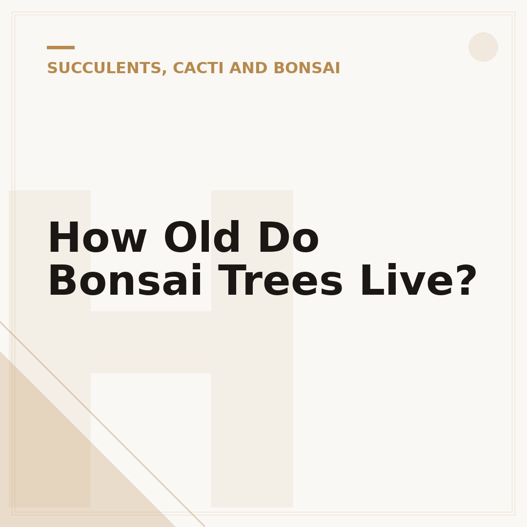 How Old Do Bonsai Trees Live?