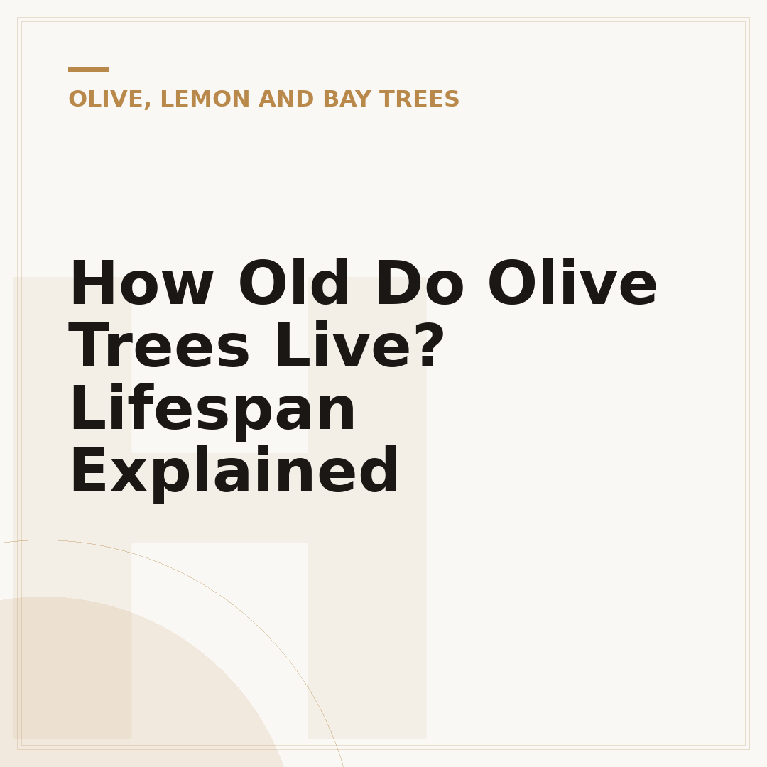 How Old Do Olive Trees Live? Lifespan Explained