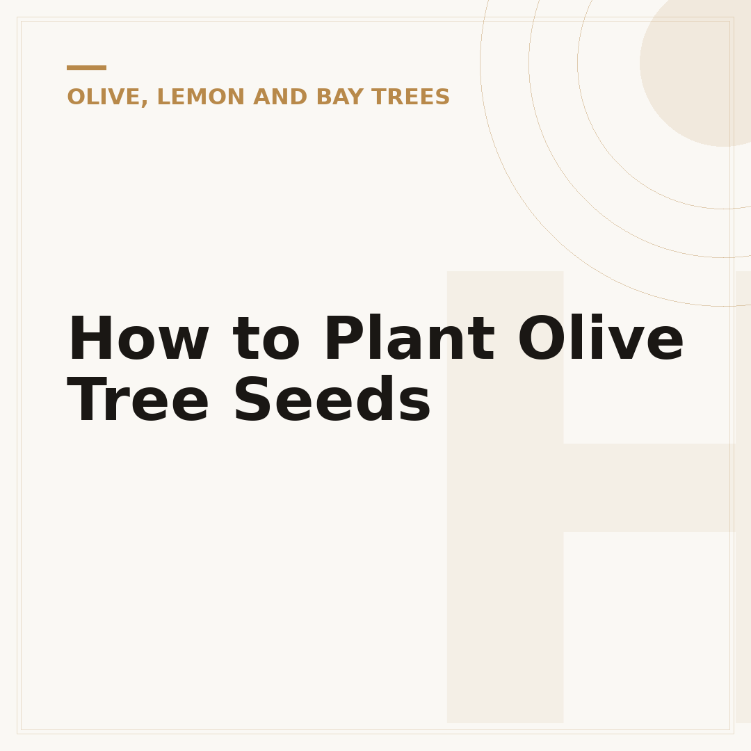 How to Plant Olive Tree Seeds