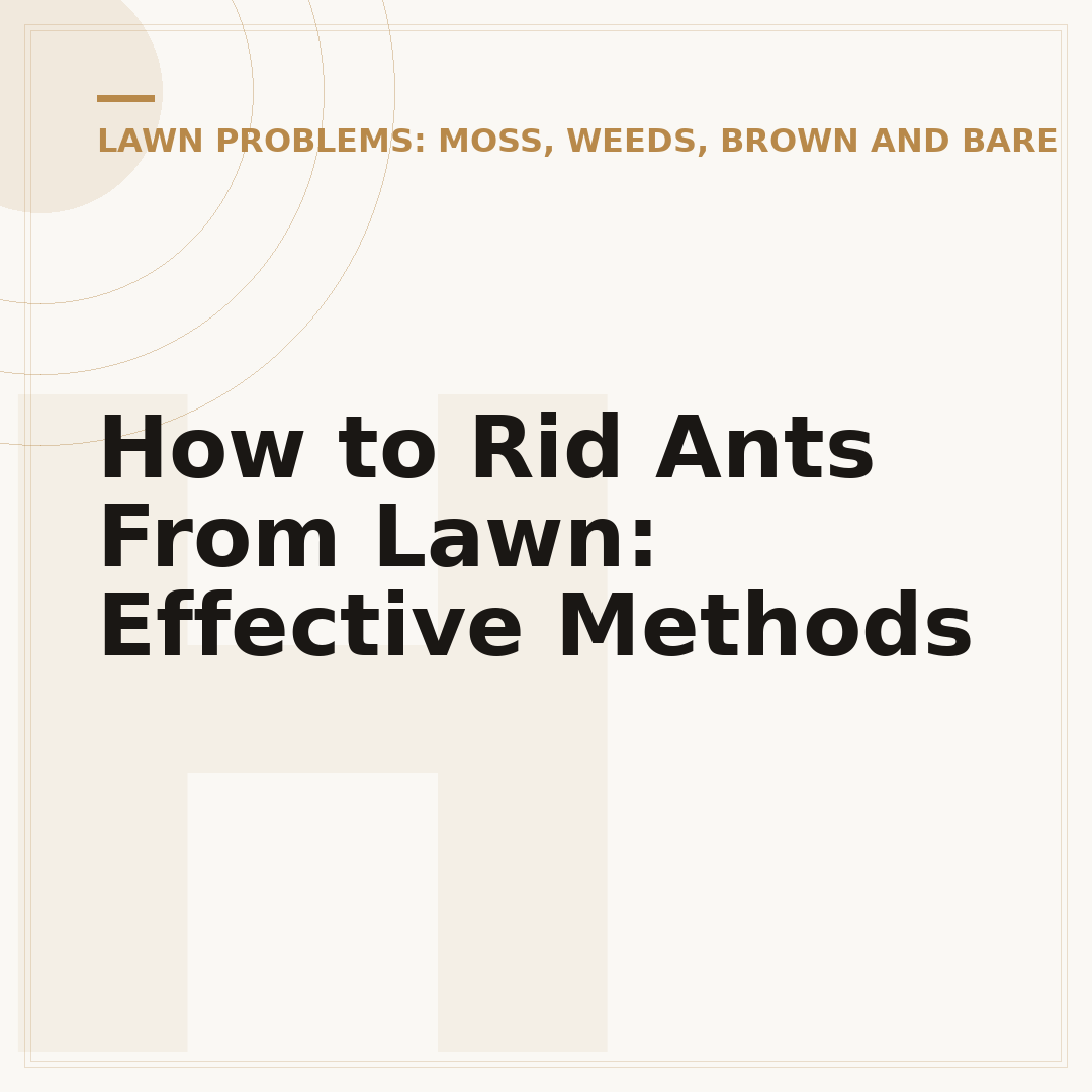 How to Rid Ants From Lawn: Effective Methods