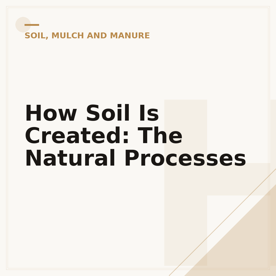 How Soil Is Created: The Natural Processes