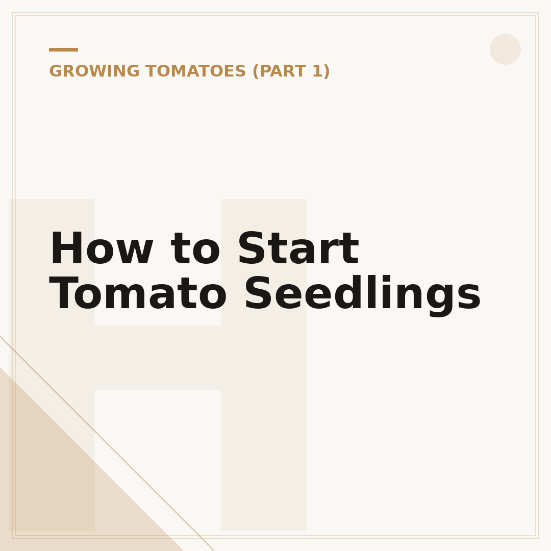 How to Start Tomato Seedlings