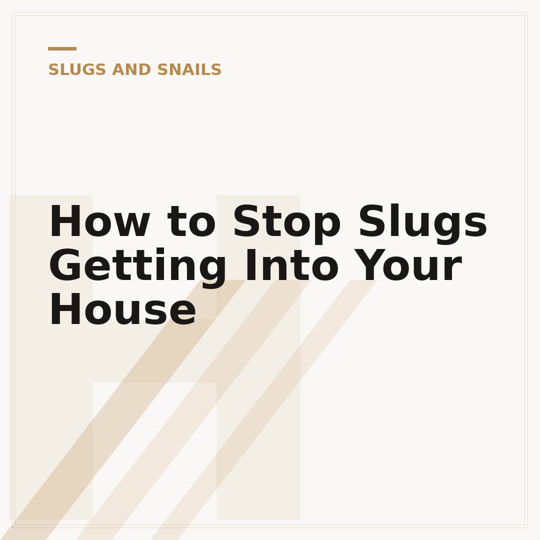 How to Stop Slugs Getting Into Your House