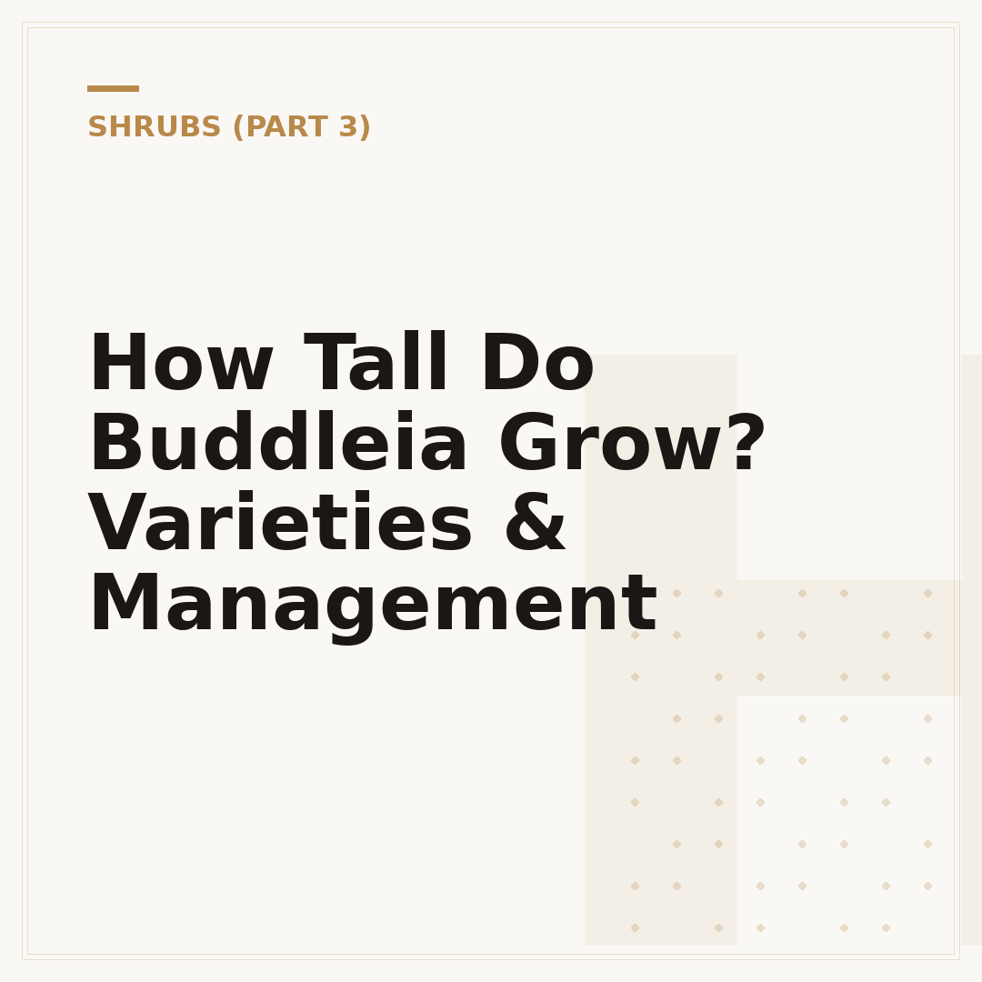 How Tall Do Buddleia Grow? Varieties & Management