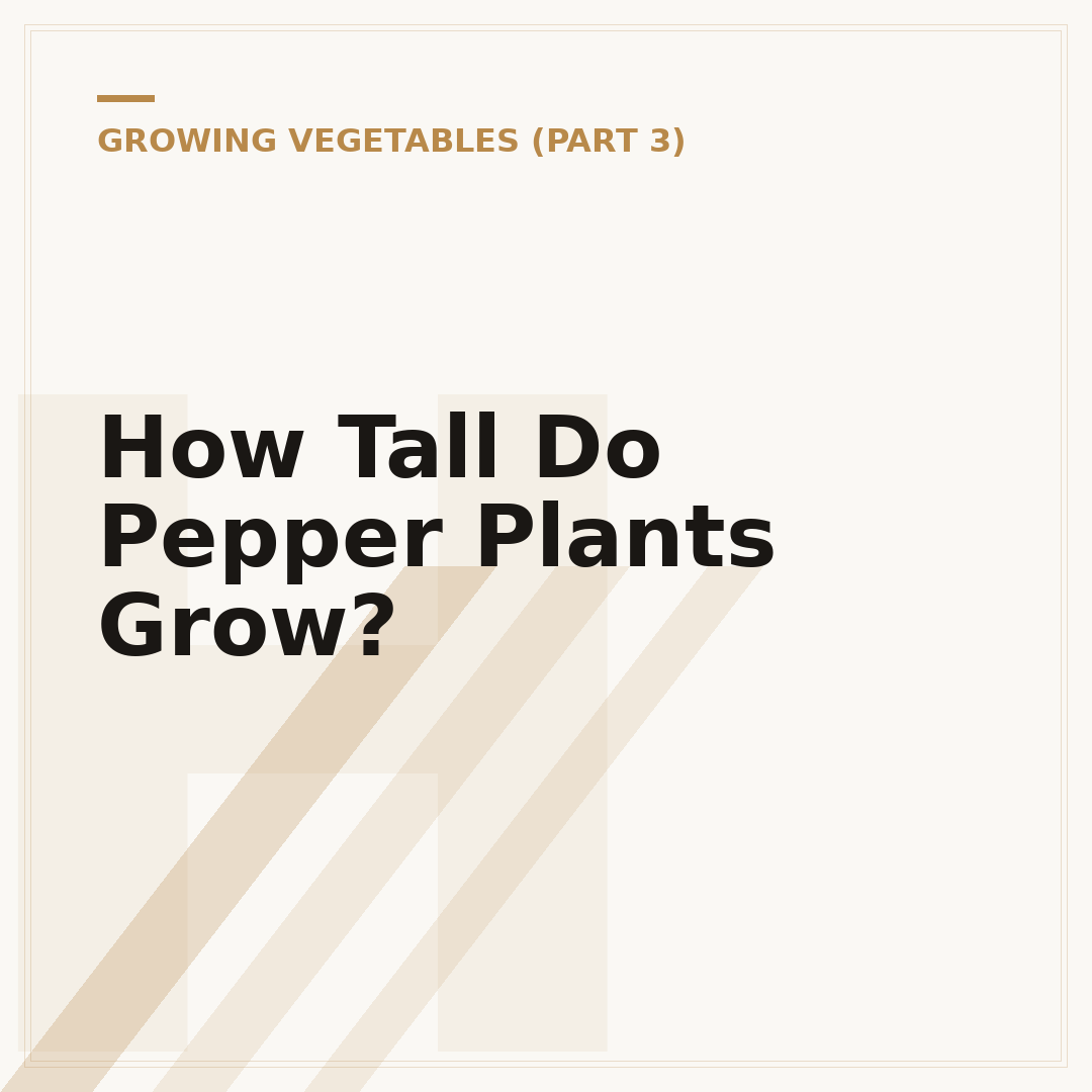 How Tall Do Pepper Plants Grow?