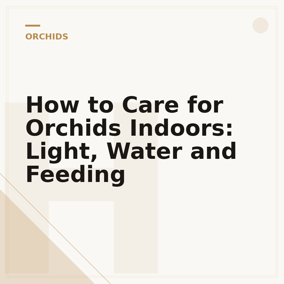 How to Care for Orchids Indoors: Light, Water and Feeding