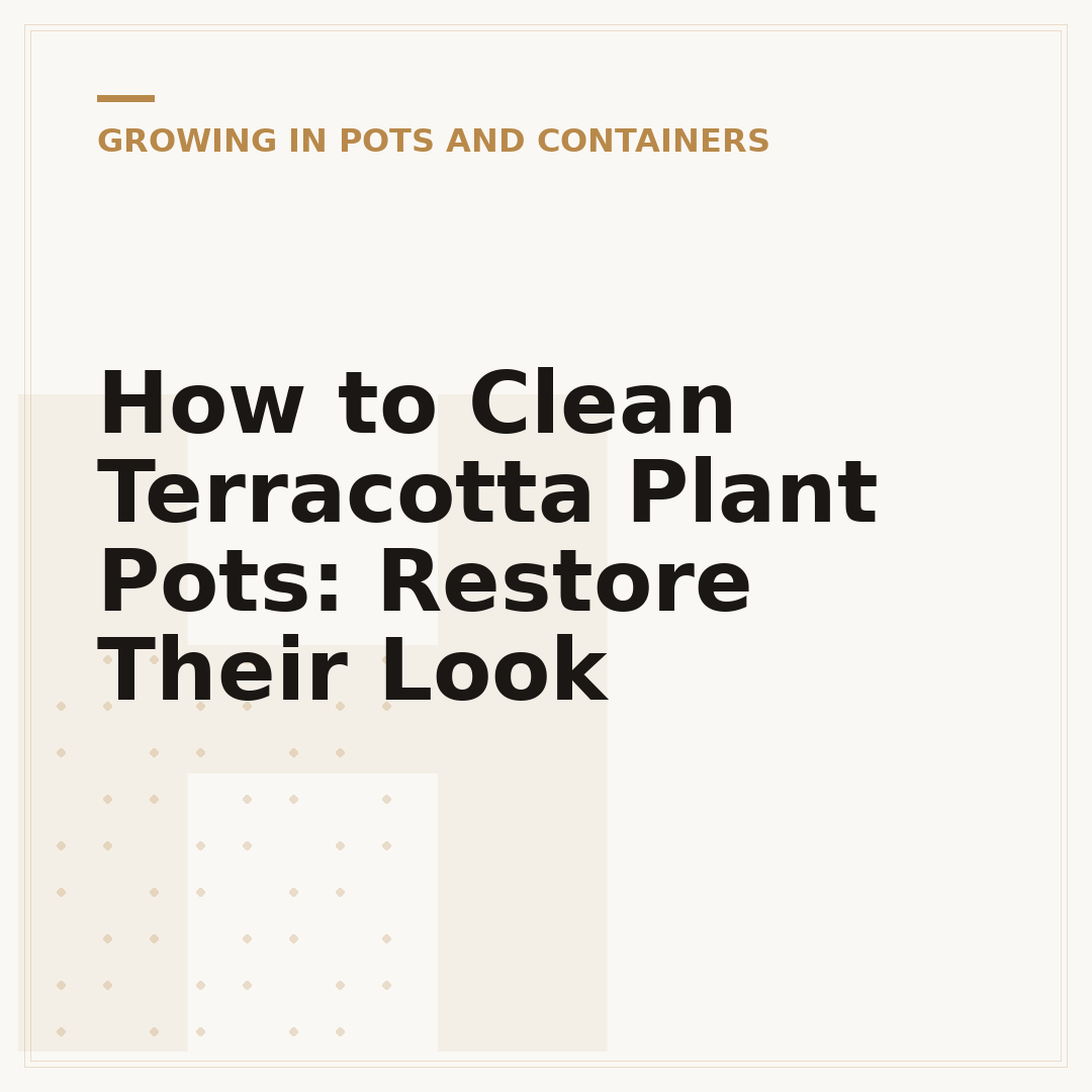 How to Clean Terracotta Plant Pots: Restore Their Look