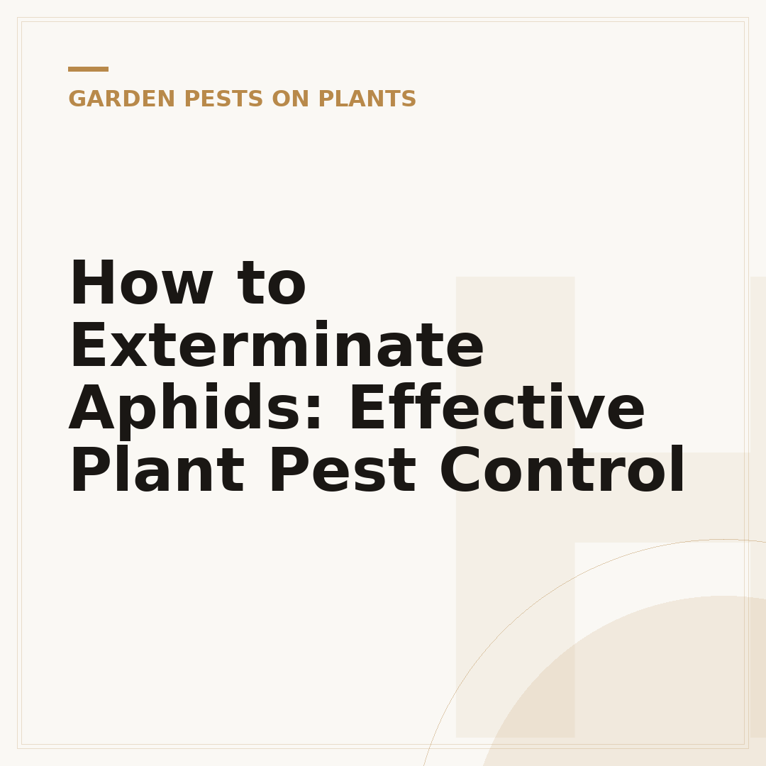 How to Exterminate Aphids: Effective Plant Pest Control