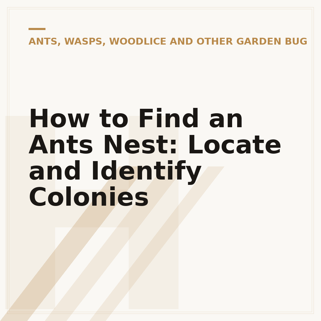 How to Find an Ants Nest: Locate and Identify Colonies