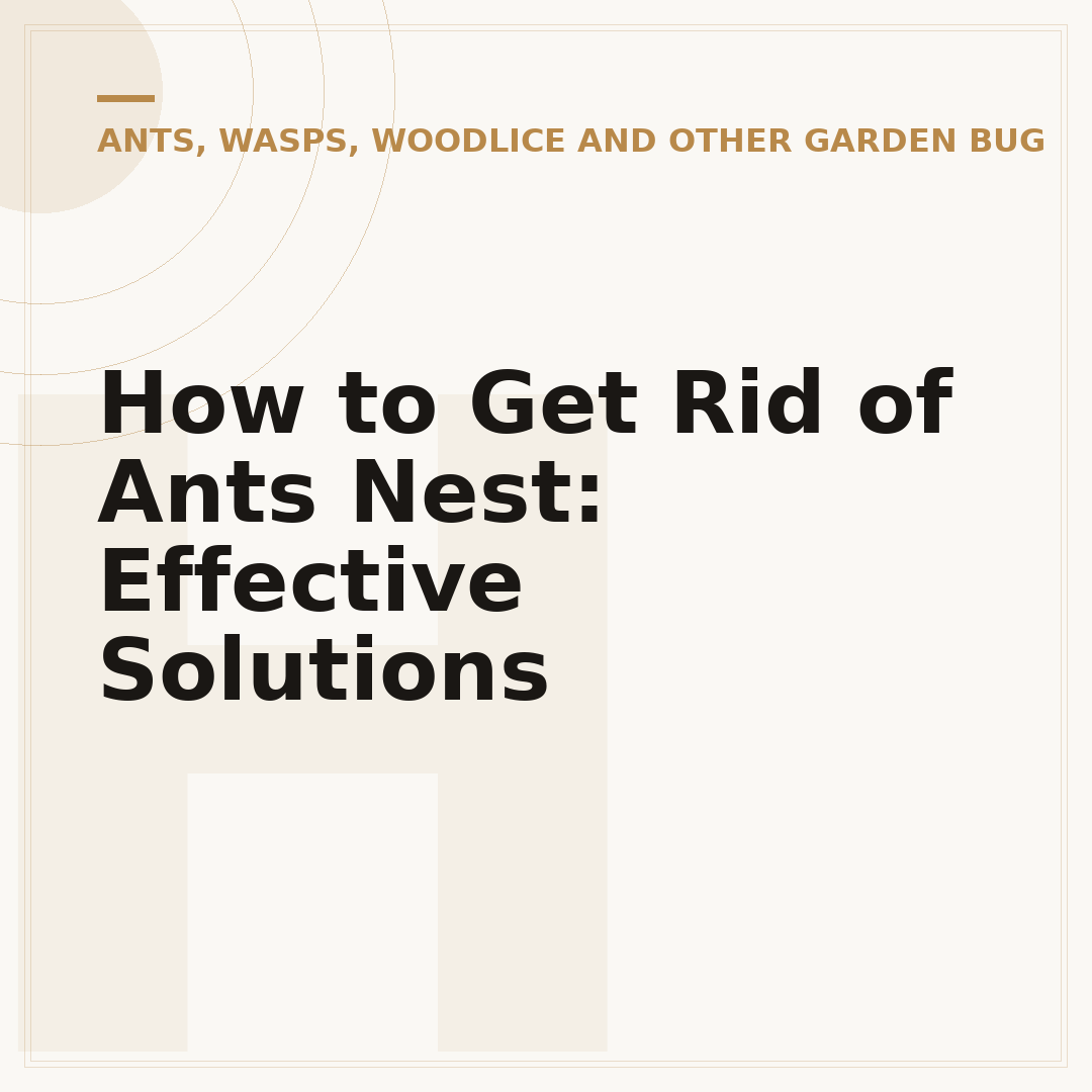 How to Get Rid of Ants Nest: Effective Solutions
