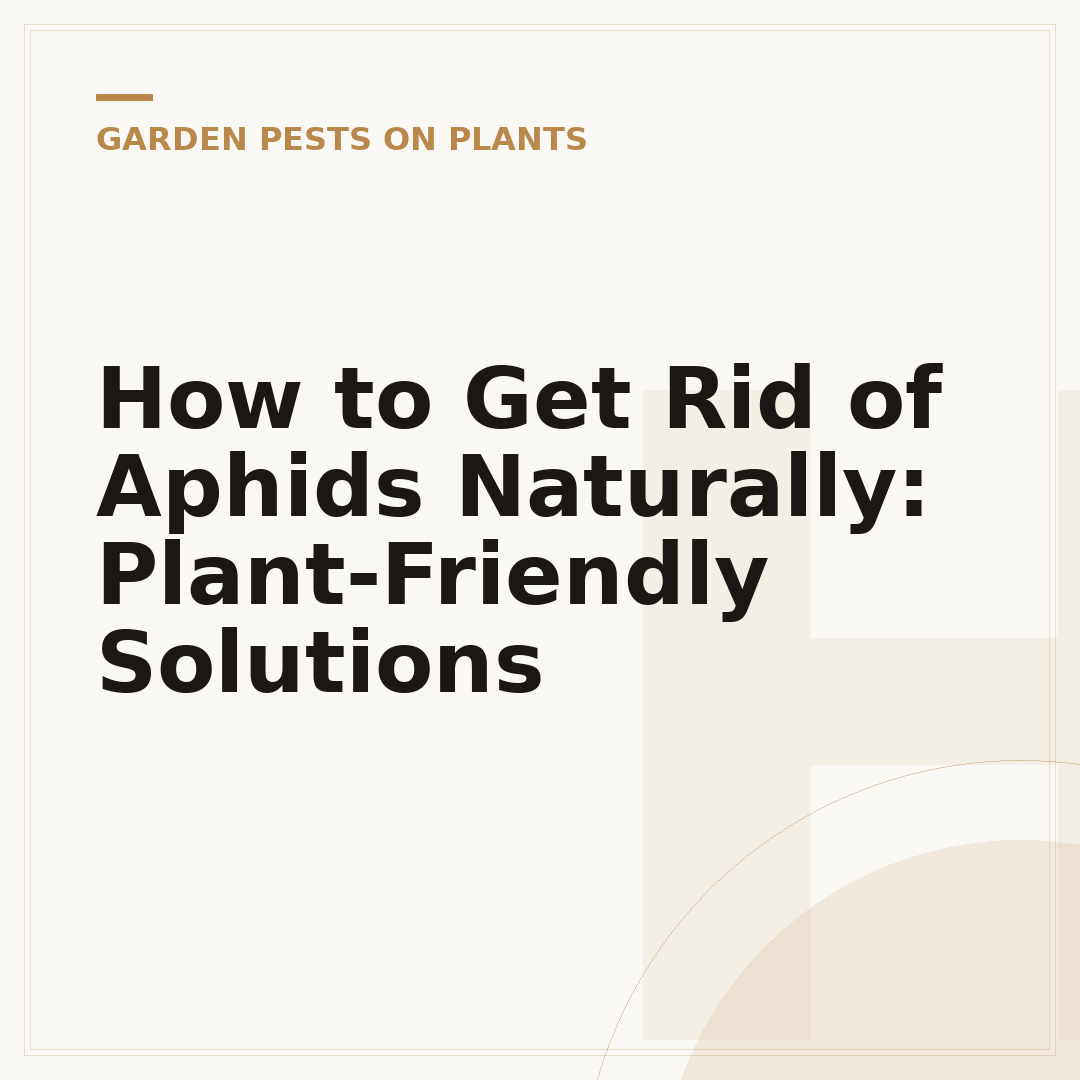 How to Get Rid of Aphids Naturally: Plant-Friendly Solutions