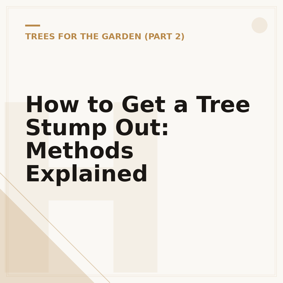 How to Get a Tree Stump Out: Methods Explained
