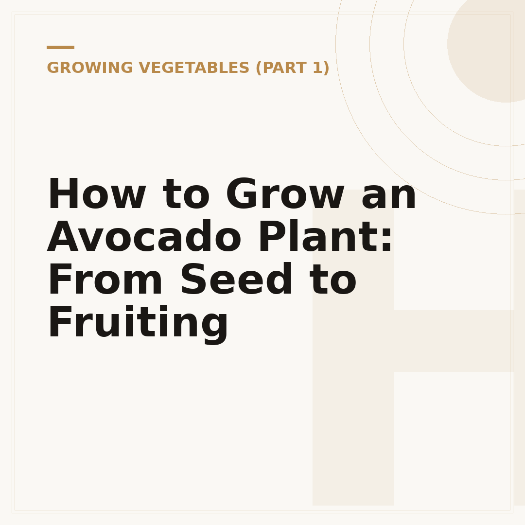 How to Grow an Avocado Plant: From Seed to Fruiting
