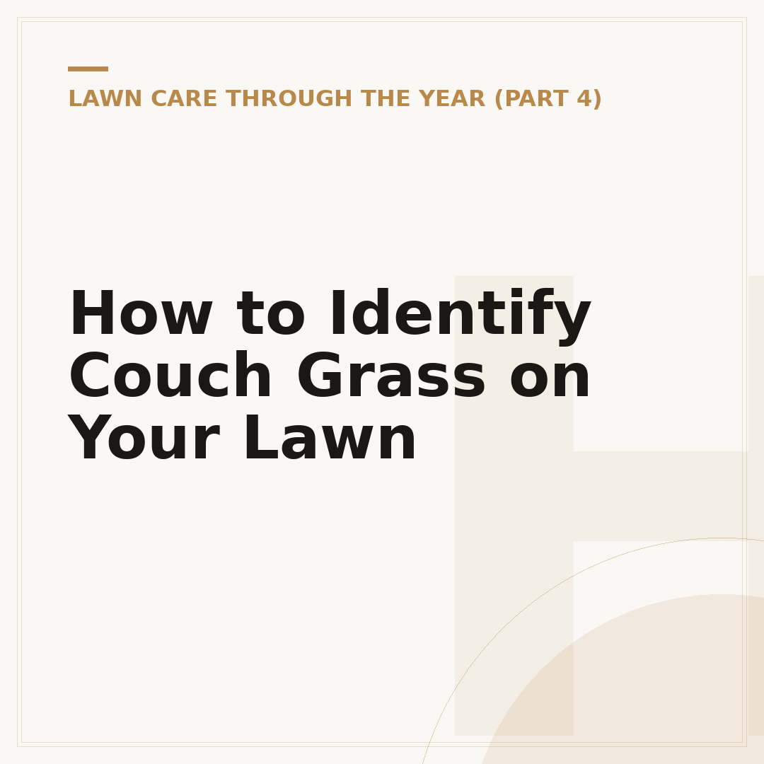 How to Identify Couch Grass on Your Lawn