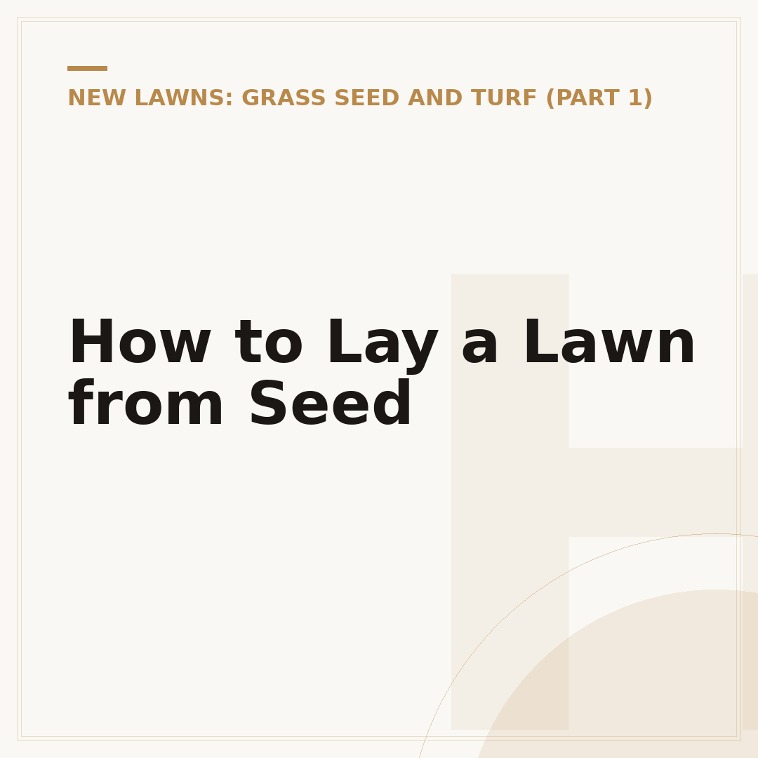 How to Lay a Lawn from Seed