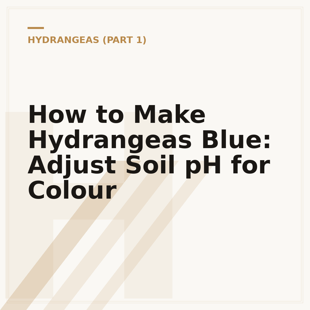 How to Make Hydrangeas Blue: Adjust Soil pH for Colour